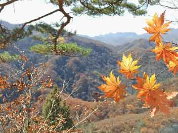 澳門(mén)彩票 第2頁(yè)