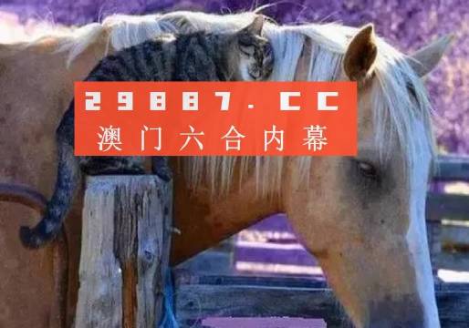 澳門一肖一碼一待一中四不像，探索與解析，澳門一肖一碼一待一中四不像，深度解析與探索
