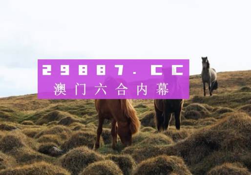 澳門今晚開獎(jiǎng)什么，揭秘彩票背后的秘密與策略分析，澳門彩票開獎(jiǎng)揭秘，策略分析與秘密探索