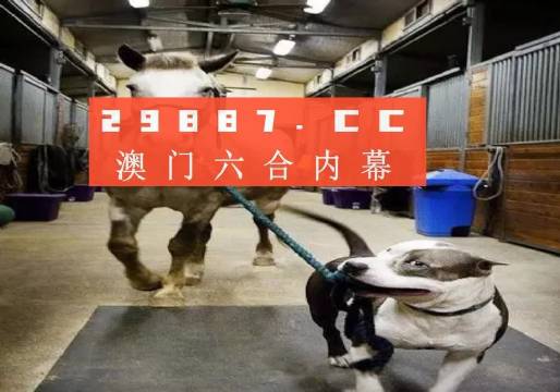 澳門一肖一碼必中策略