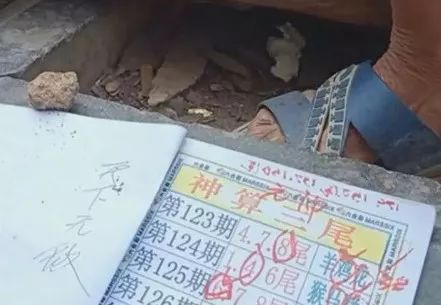 深度解析與探索報(bào)告