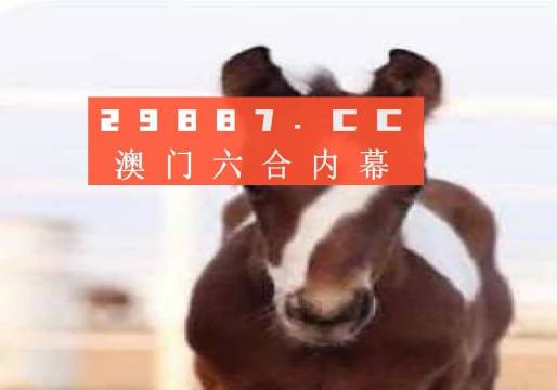 澳門一肖一碼狀元紅，揭秘彩票背后的秘密與策略，澳門彩票揭秘，狀元紅背后的秘密與策略解析