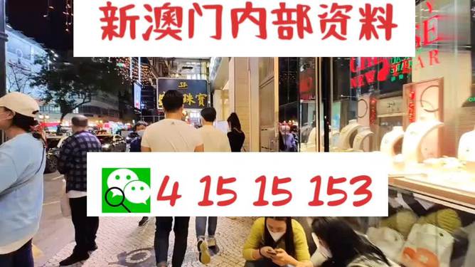 探索未來，2025新澳最新版精準特色解析，探索未來，揭秘新澳最新版精準特色解析（2025版）