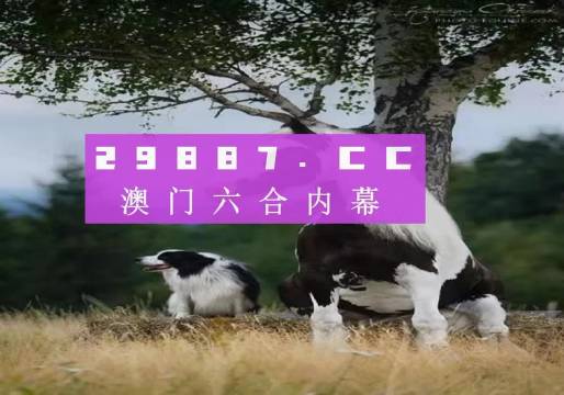 澳門天天空彩官網(wǎng)資料，探索彩票世界的門戶，澳門天天空彩官網(wǎng)資料，彩票世界探索門戶