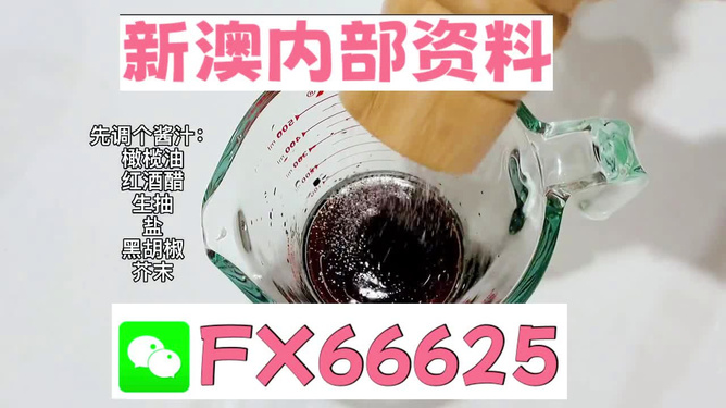2025年新澳正版免費料，全面解析與獨家資訊，獨家解析，揭秘新澳正版免費料獨家資訊至2025年