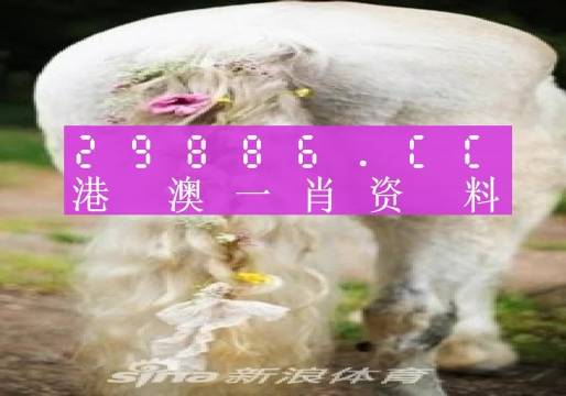 澳門(mén)羊了個(gè)羊與各大圖庫(kù)的資料揭秘，2023年澳門(mén)今晚必中一肖一碼永久免費(fèi)資料庫(kù)大解密，澳門(mén)羊了個(gè)羊與資料庫(kù)揭秘，2023年必中一肖一碼永久免費(fèi)資料大解密