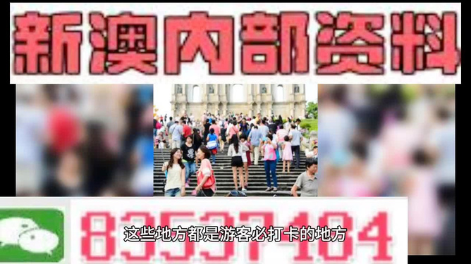 新澳天天開獎資料大全旅游團——探索澳門的魅力之旅，澳門魅力探索之旅，新澳天天開獎資料大全旅游團
