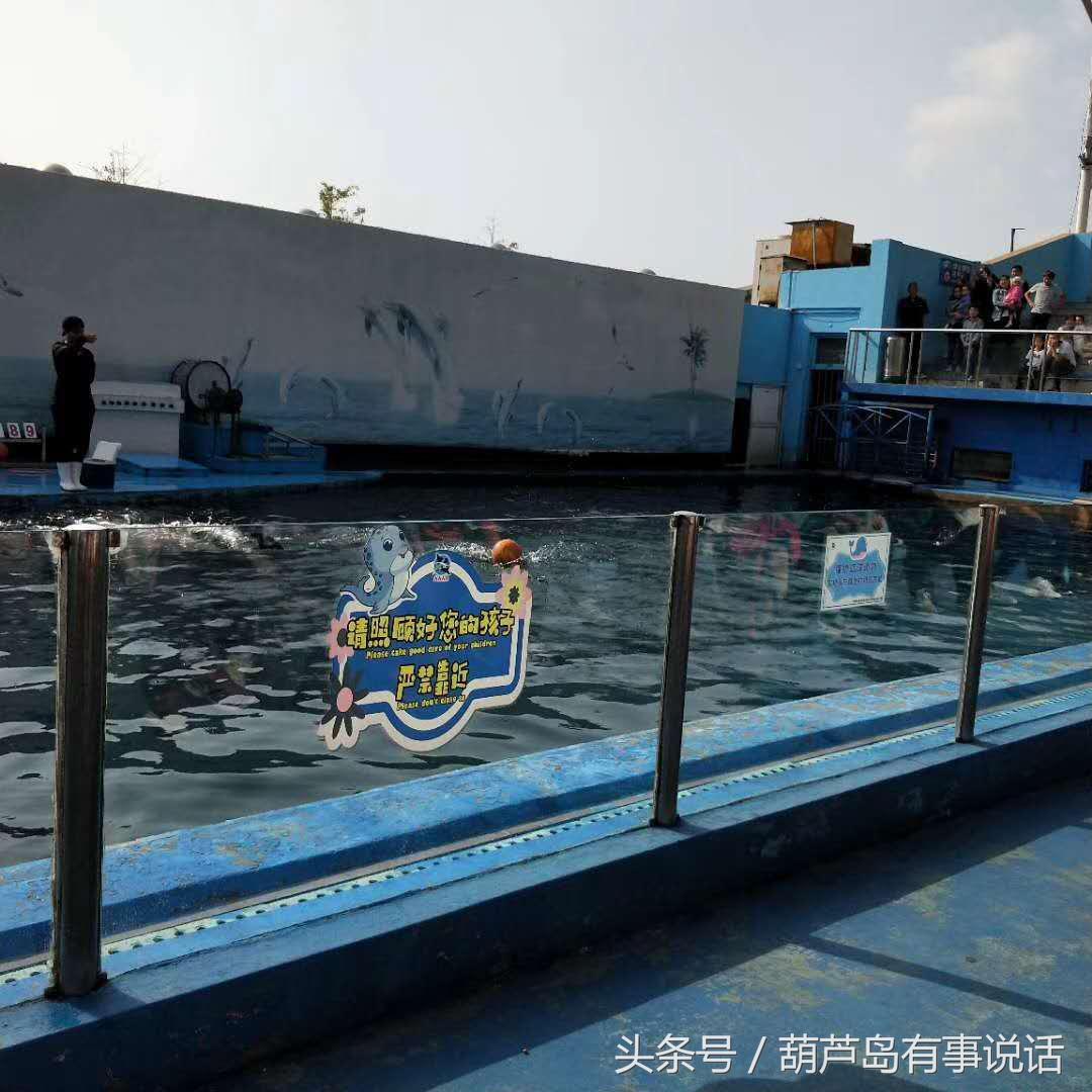揭秘9點30分彩新澳，全方位解讀彩票新玩法，揭秘9點30分彩新澳，全方位解讀彩票新玩法攻略