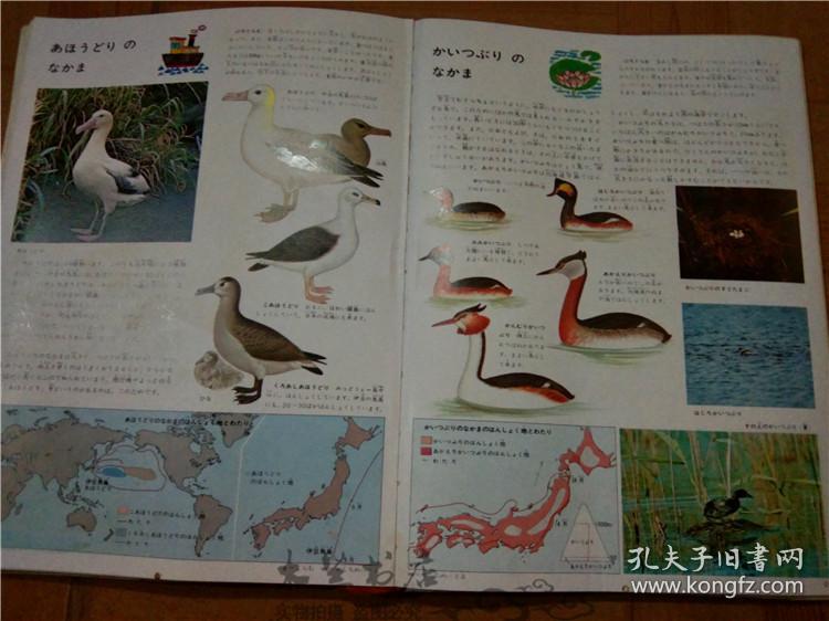 魅力探索