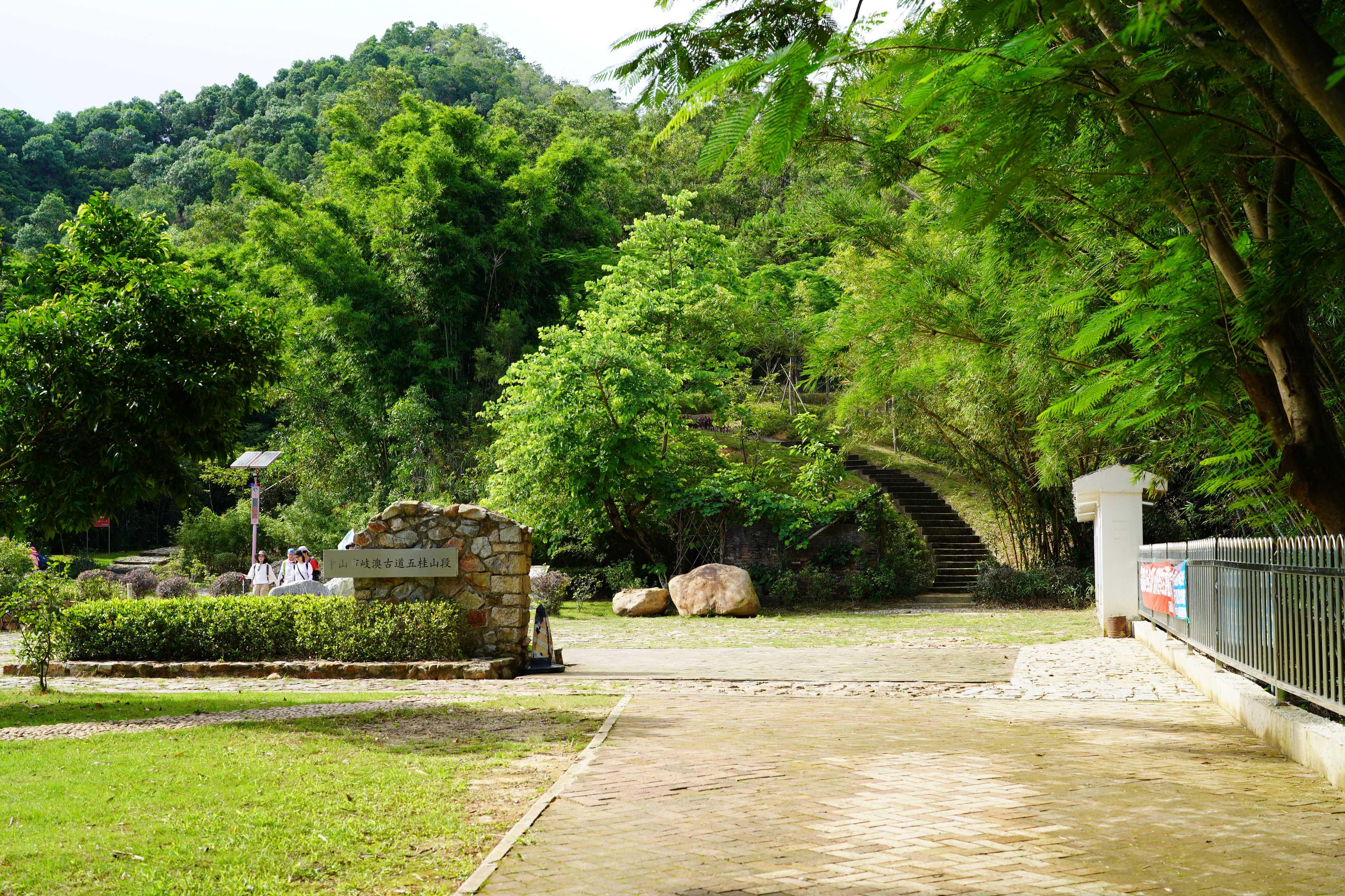 新澳門彩生肖走勢(shì)圖，探索與解讀彩票背后的秘密，探索解讀新澳門彩生肖走勢(shì)圖，彩票背后的秘密揭秘