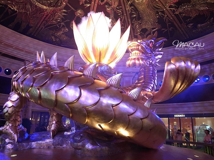 澳門無(wú)錯(cuò)七尾，探索與解析，澳門無(wú)錯(cuò)七尾，深度探索與解析