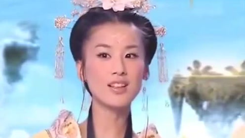 曾道道人資料免費(fèi)大全，深度探索與解析，曾道道人資料深度解析與免費(fèi)大全探索