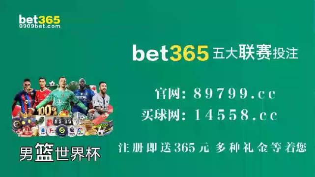 王中王中特馬王中王精準資料解析與SEO優(yōu)化策略探討，王中王中特馬精準資料解析與SEO策略探討