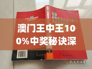 新澳門王中王期期中，探索與解析，新澳門王中王期期中，深度探索與解析