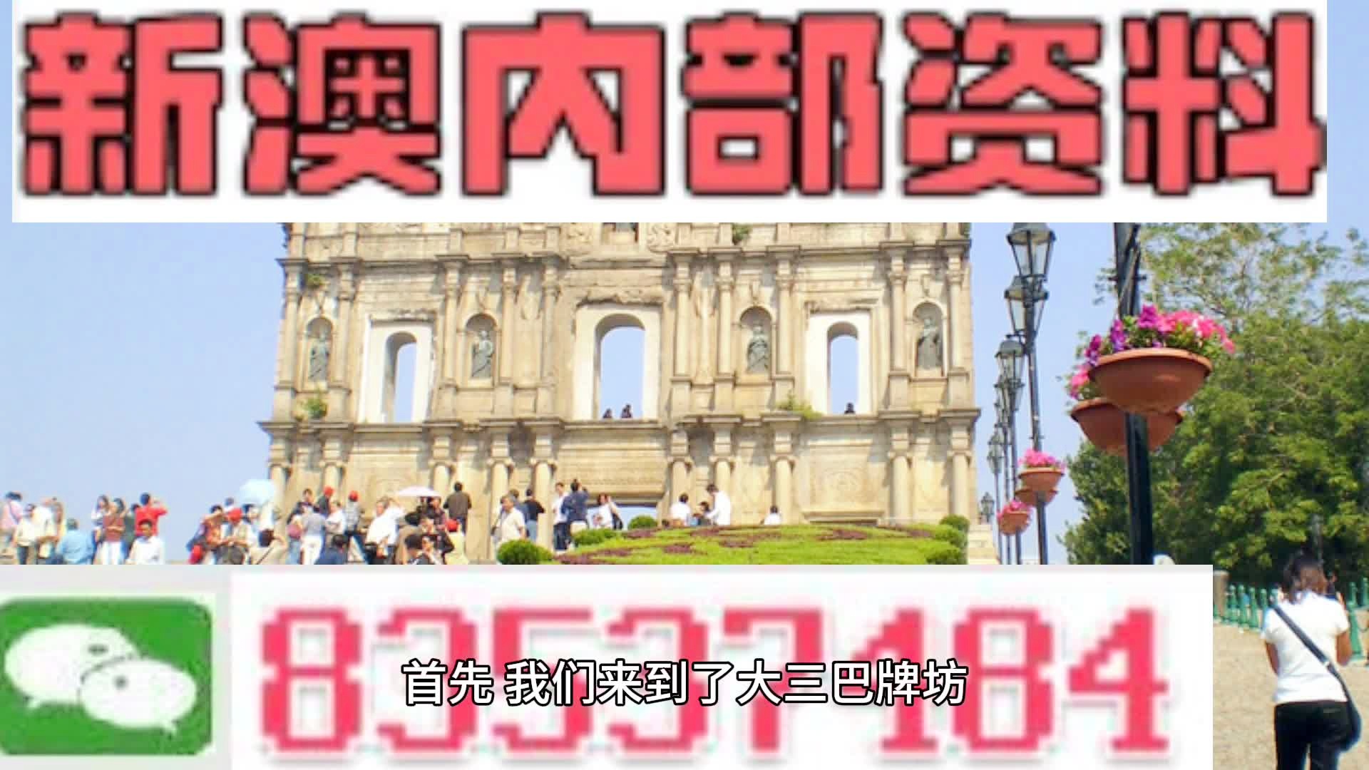 新澳持碼會資料詳解，新澳持碼會資料全面解析