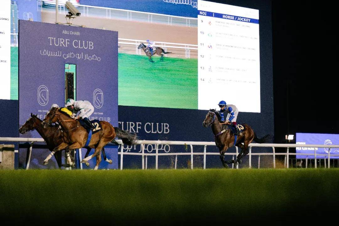澳門特馬今晚開獎一，探索彩票背后的秘密與期待，澳門特馬今晚開獎，揭秘彩票背后的秘密與期待大獎的激動心情