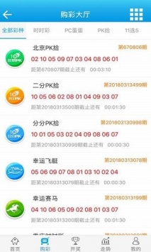 王中王72396免費版功能詳解，王中王72396免費版功能全面解析