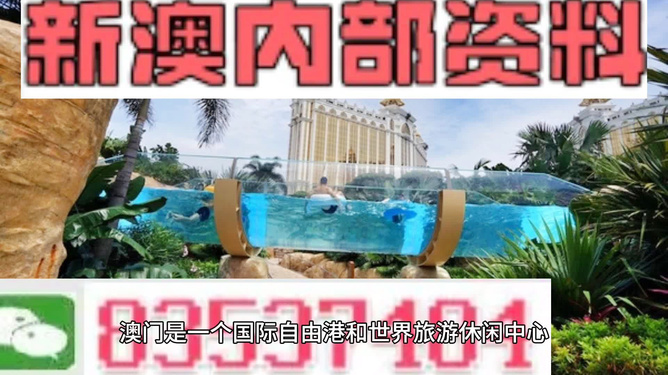 新澳的資料去哪里找——全面指南，新澳資料全攻略，尋找資料的途徑與指南