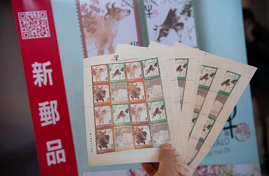 澳門值日生肖600圖庫與八百圖庫開獎(jiǎng)，探索生肖圖庫的魅力與奧秘，澳門生肖圖庫開獎(jiǎng)揭秘，探索值日生肖600圖庫與八百圖庫的魅力與奧秘