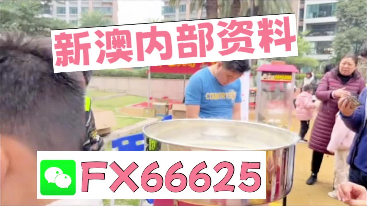 新澳2025芳草地資料大全，深度解析與前瞻性展望，新澳2025芳草地，資料深度解析與前瞻性展望