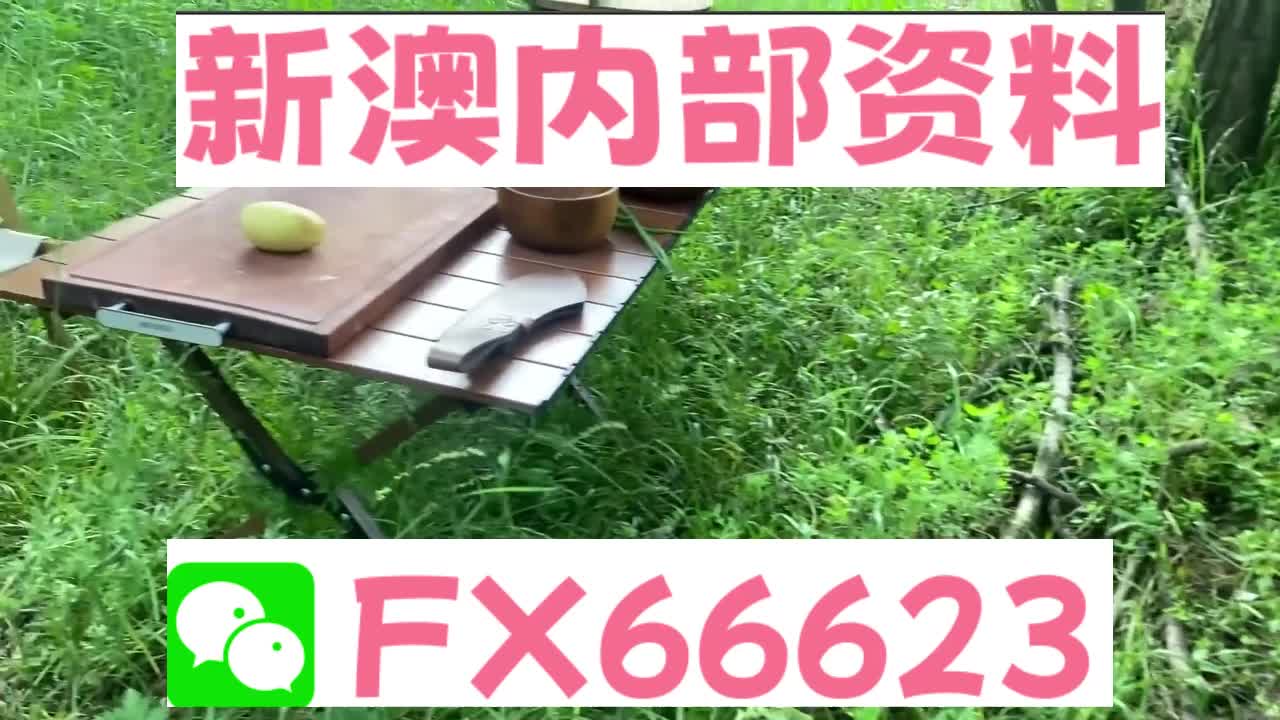 新奧特碼走勢(shì)圖解析與預(yù)測(cè)，新奧特碼走勢(shì)圖解析與預(yù)測(cè)，未來趨勢(shì)探討