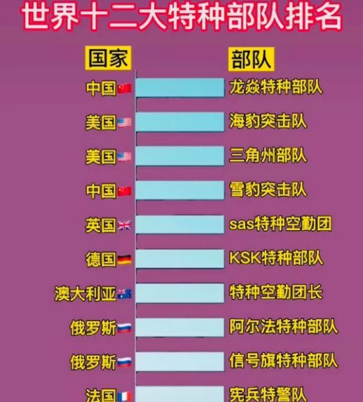 中國十大王牌特種部隊(duì)，實(shí)力與榮耀的象征，中國十大王牌特種部隊(duì)，實(shí)力與榮耀的巔峰標(biāo)志