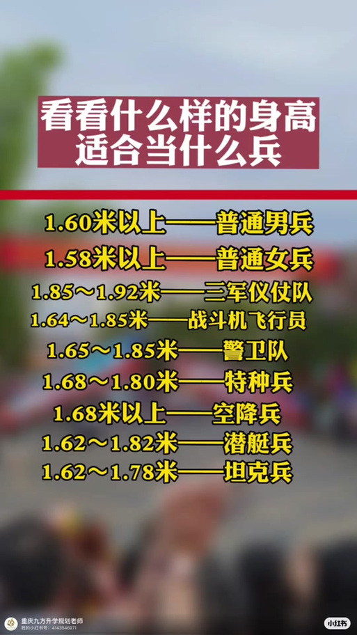 儀仗兵身高標(biāo)準(zhǔn)，探究與解析，儀仗兵身高標(biāo)準(zhǔn)，探究與詳解