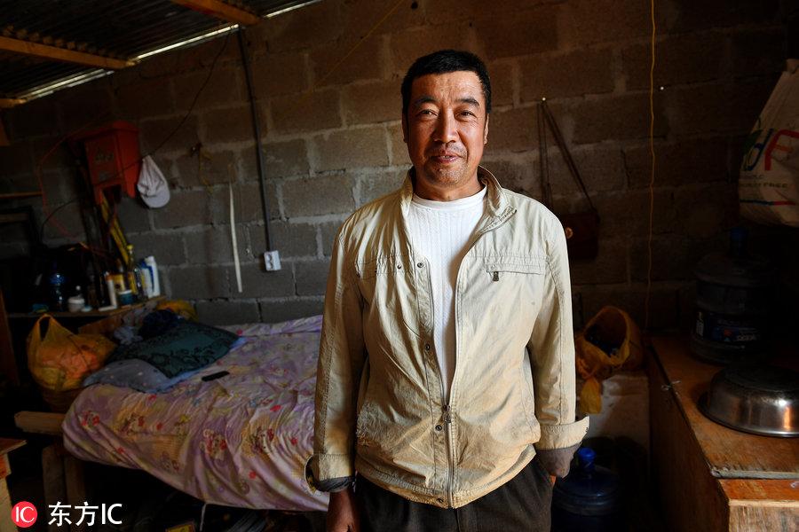博科圣地組織，深度解析與理解，博科圣地組織深度解析與探究