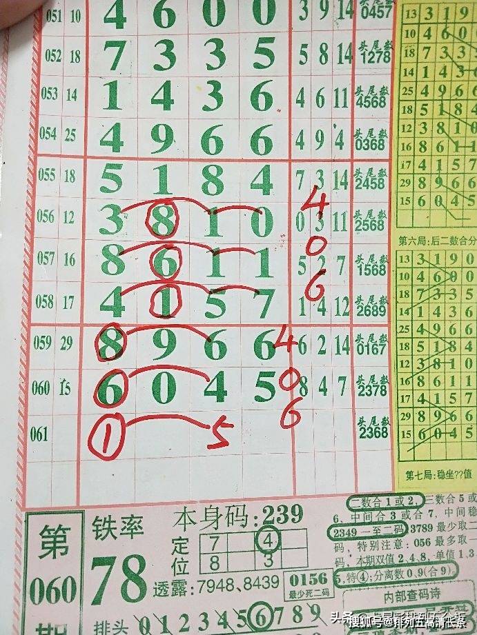 平特肖推算法，探索搜索引擎優(yōu)化的新境界，平特肖推算法，開啟搜索引擎優(yōu)化新境界的探索之旅
