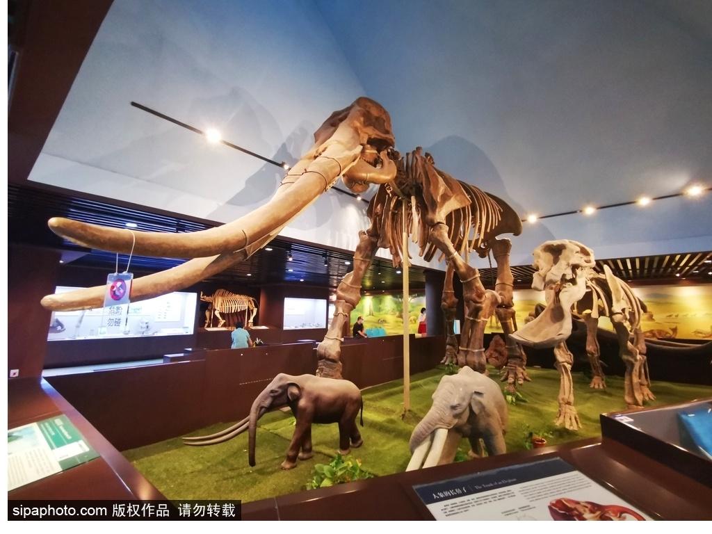 北京必去的十大博物館——探尋千年文化的精華之旅，北京必游十大博物館，千年文化精華之旅探尋記