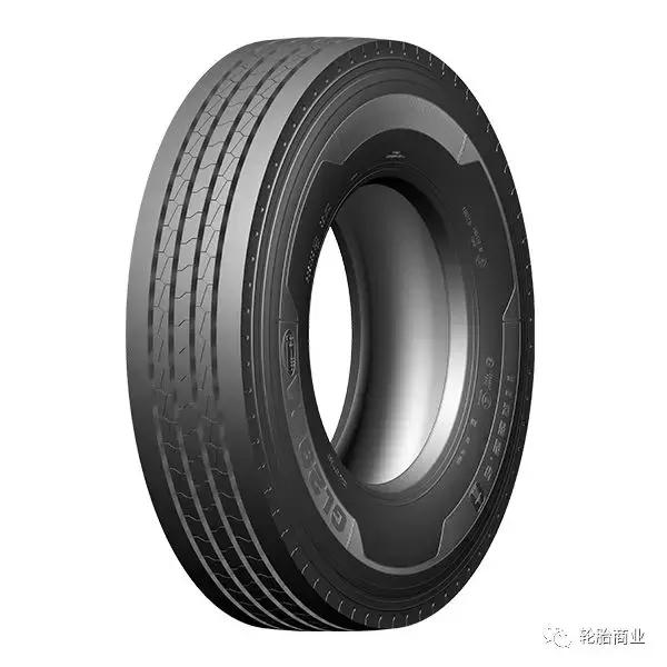 王中王295期指一生肖，揭秘生肖運勢與預測背后的秘密，揭秘生肖運勢預測，王中王295期生肖運勢背后的秘密探索