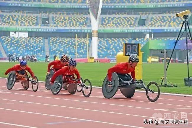 2025年澳門精準免費大全——全面解析澳門未來展望與特色體驗，澳門未來展望與特色體驗解析，澳門精準免費大全（2025版）