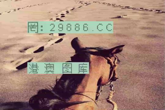 香港特馬資料王中王24期，深度解析與探索，香港特馬資料王中王深度解析與探索，第24期探索之旅