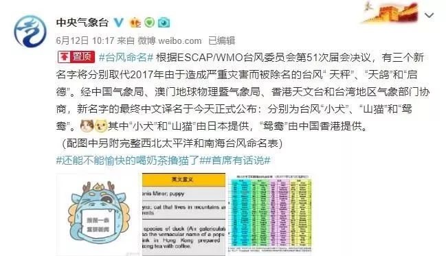 新澳門必中三肖三碼三期必開劉伯，揭秘彩票背后的秘密與策略，揭秘彩票背后的秘密與策略，劉伯的新澳門三期必開三肖三碼預(yù)測技巧