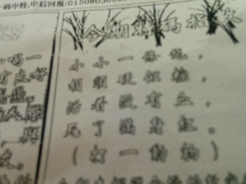 劉伯溫生肖傳奇