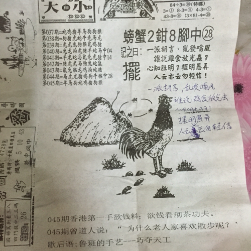 揭秘林中的高手王中王猜一肖的奧秘，揭秘林中之王王中王與生肖奧秘探秘
