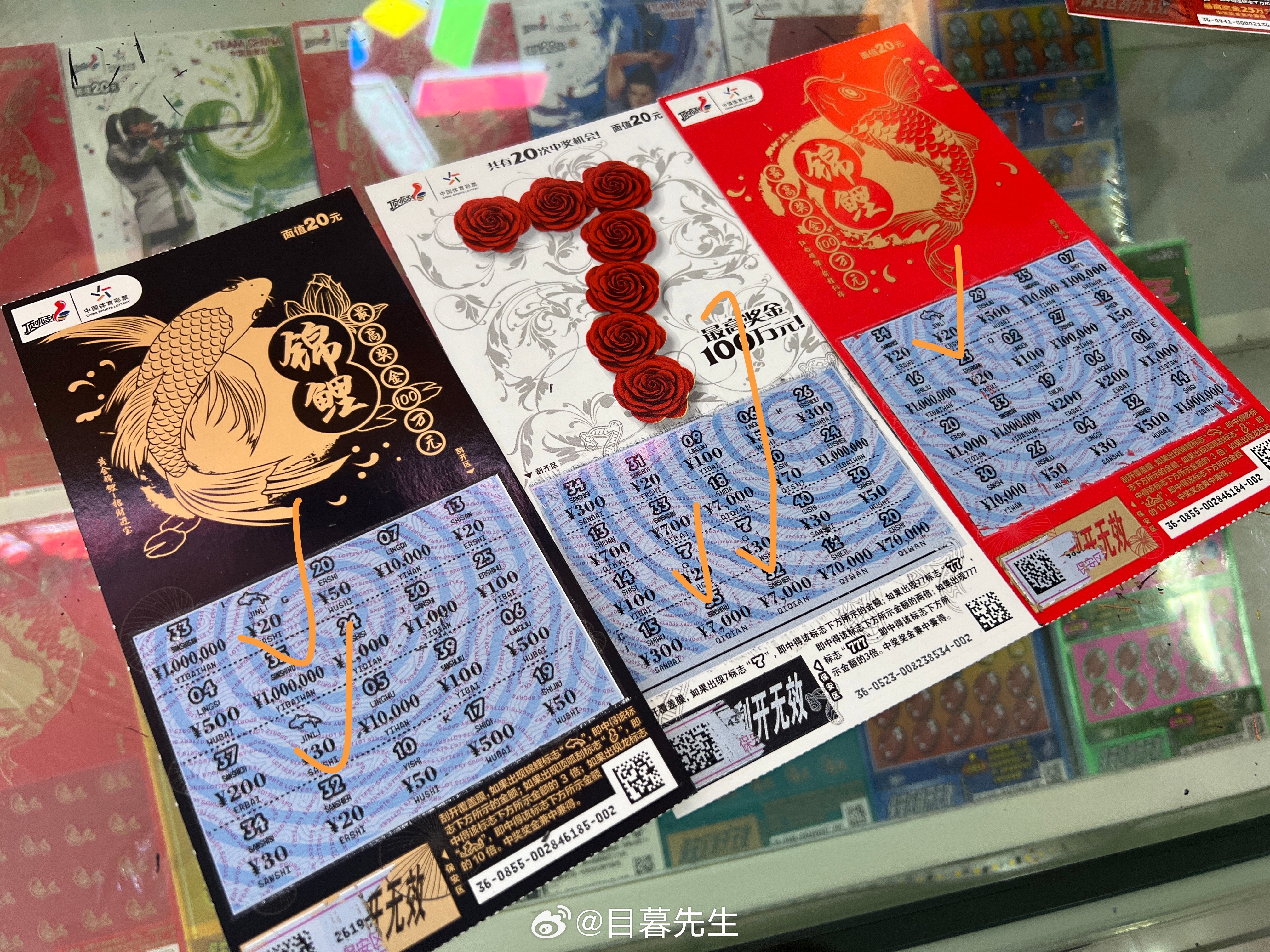 全年王中王一肖中特，深度解析與預(yù)測(cè)，全年王中王一肖深度解析與預(yù)測(cè)，揭秘特肖趨勢(shì)