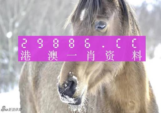 澳門一肖一碼背后的故事，一個(gè)關(guān)于精準(zhǔn)預(yù)測與傳奇的揭秘，澳門一肖一碼傳奇背后的精準(zhǔn)預(yù)測與揭秘之旅