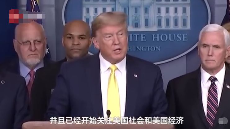 今晚澳門特馬必開一肖，深度解析與預測，澳門特馬今晚必開一肖深度預測與解析