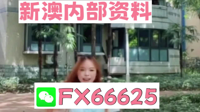 香港內部精準資料一碼，揭秘與深度解析，香港內部精準資料一碼揭秘與深度剖析