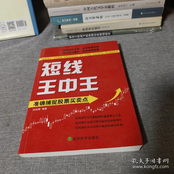 王中王平特一肖中的奧秘與探索，王中王平特一肖的奧秘與探索之旅