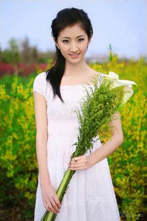 新澳門生肖走勢圖精準(zhǔn)版，解讀與SEO策略，新澳門生肖走勢圖精準(zhǔn)解讀與SEO策略揭秘