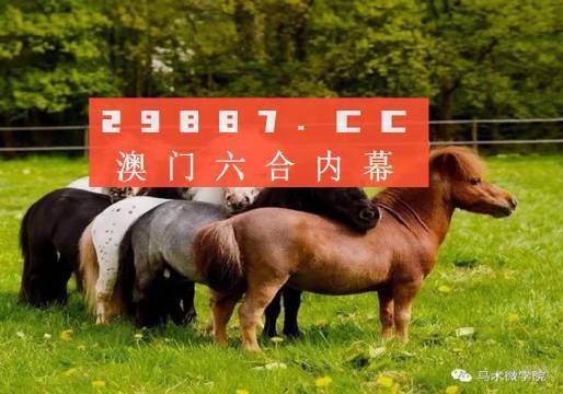王中王四不像