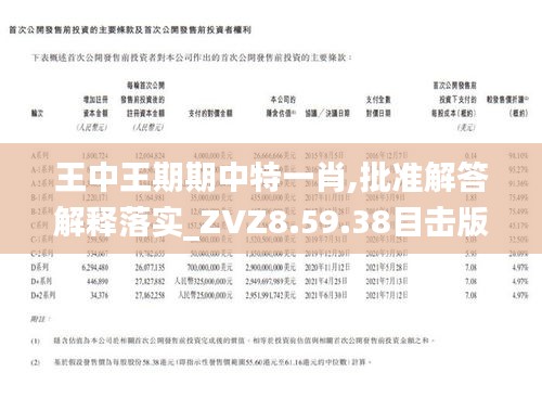 王中王一肖期期中，揭秘背后的秘密與策略，揭秘王中王一肖期期中的秘密策略與成功之道