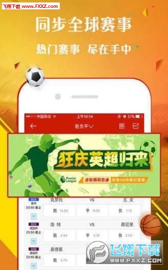 王中王一肖，探尋背后的故事與影響力（2019年），王中王一肖，背后的故事與影響力揭秘（2019年）