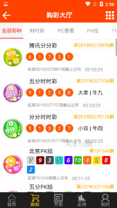 尋找王中王一肖圖——深度解析背后的故事，深度探尋王中王一肖圖的背后故事