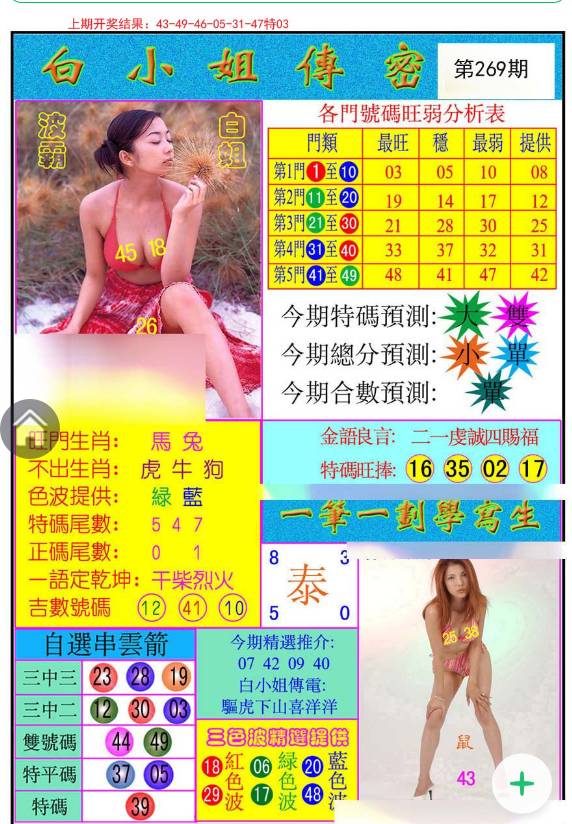 揭秘白小姐與王中王平持一肖的神秘面紗，白小姐與王中王，揭秘神秘生肖預(yù)測面紗