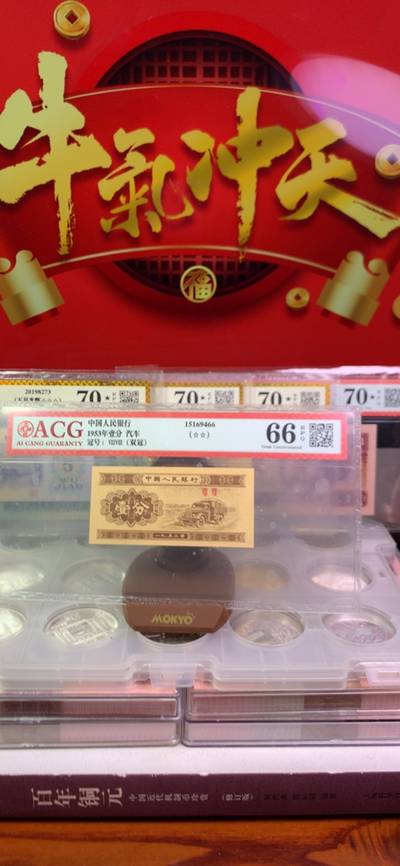 王中王廣東一肖，探尋背后的故事與奧秘，王中王廣東一肖，背后的故事與奧秘探尋