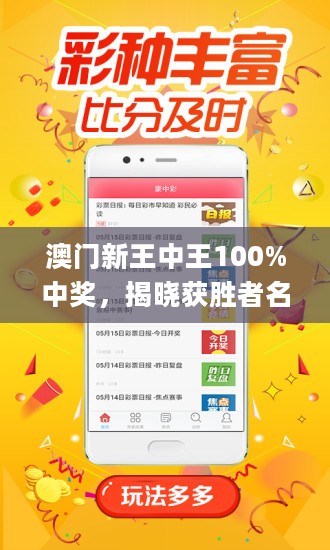 王中王藏寶閣猜一肖，揭秘背后的秘密與SEO策略，王中王藏寶閣猜一肖背后的秘密與SEO策略揭秘