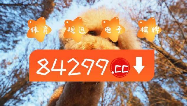 今晚一肖白小姐一肖一碼正版，揭秘?zé)衢T話題與神秘面紗，揭秘?zé)衢T話題與神秘面紗，今晚一肖白小姐一肖一碼正版揭曉